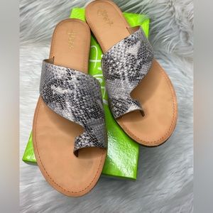 Y Not? Toe Loop Sandel